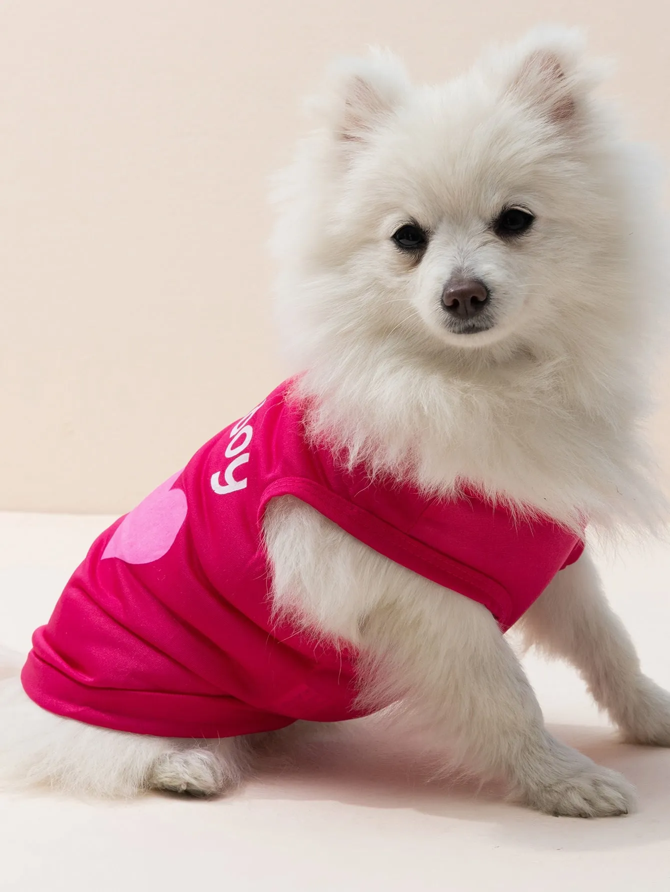 1pc Letter Graphic Pet Tank, Summer Cool Pet Apparel