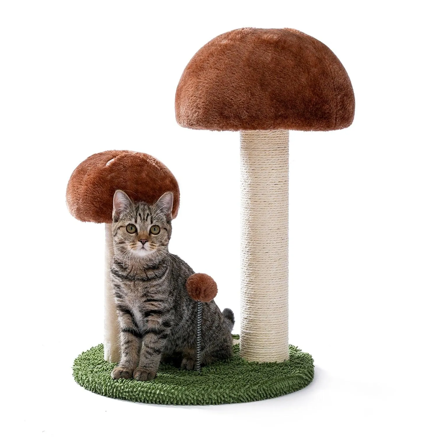 Cat Condo Scratching Post