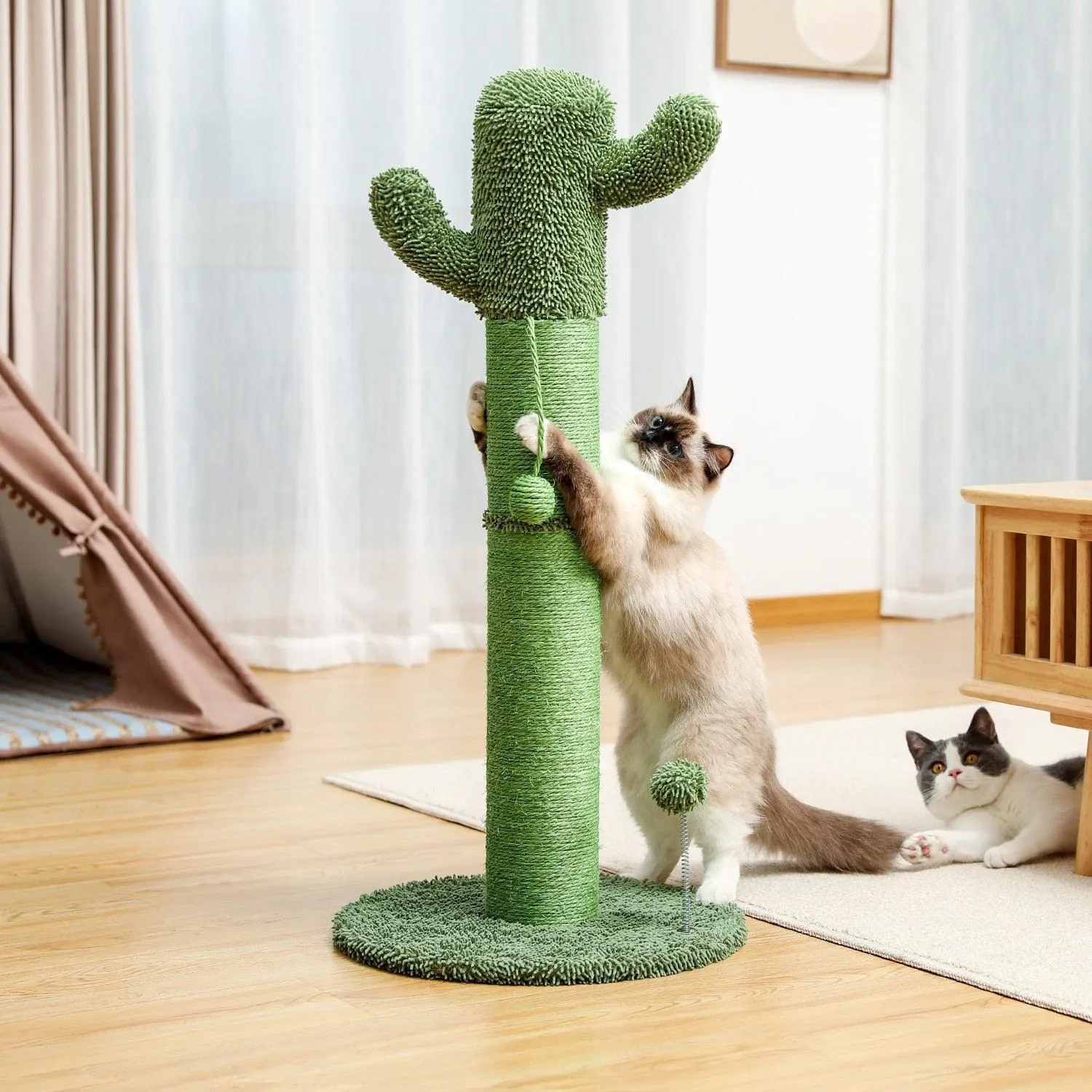 Cat Condo Scratching Post