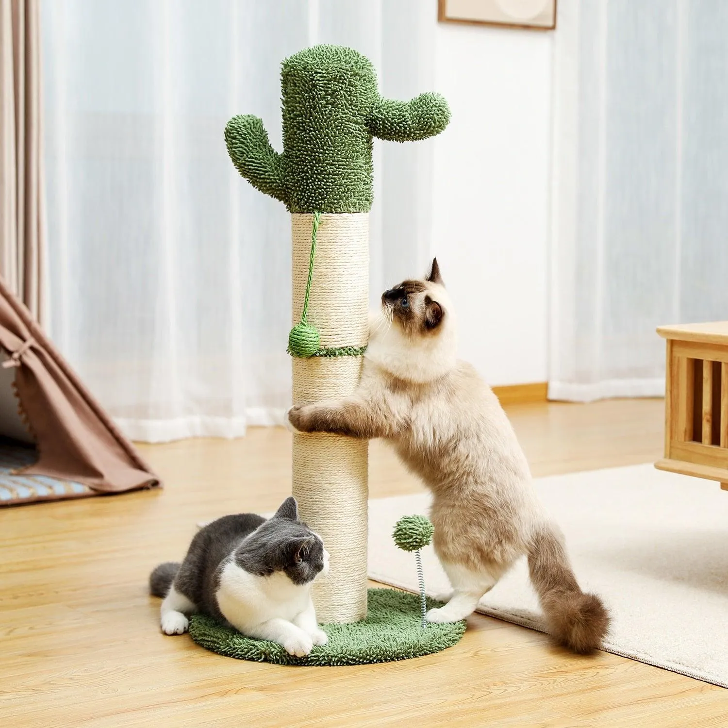 Cat Condo Scratching Post
