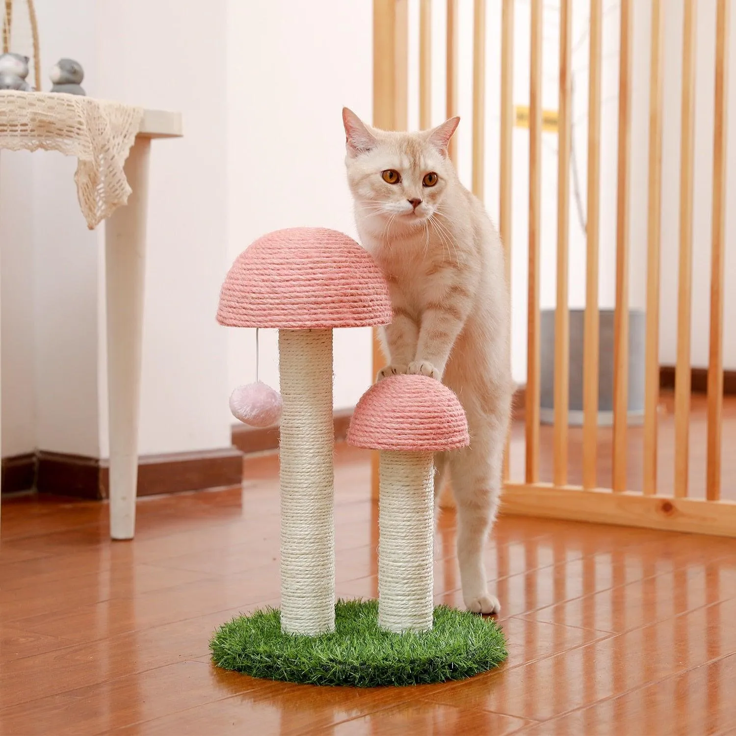 Cat Condo Scratching Post