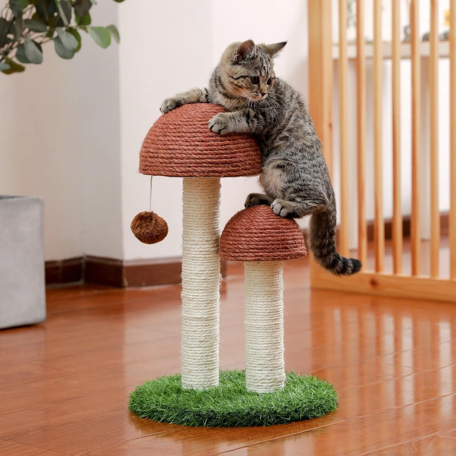 Cat Condo Scratching Post