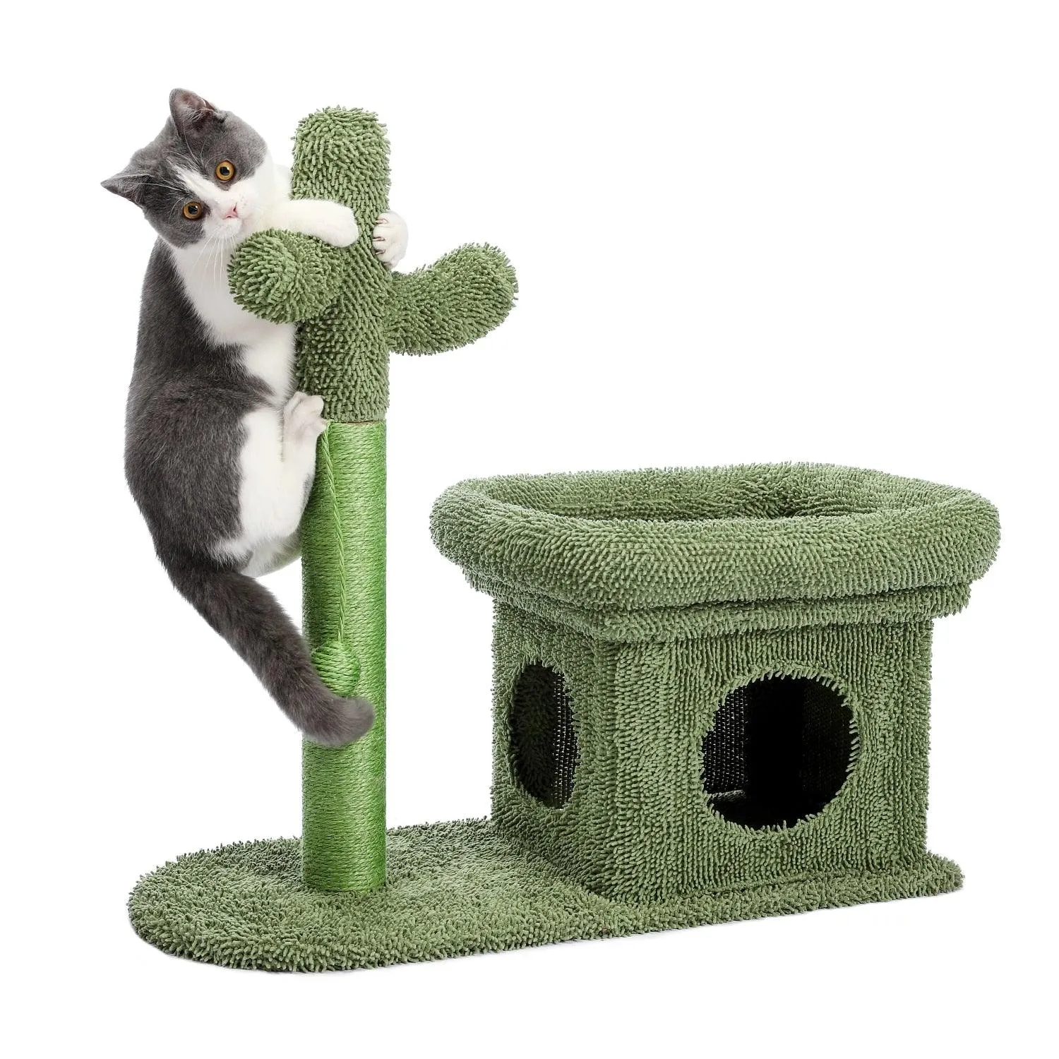 Cat Condo Scratching Post