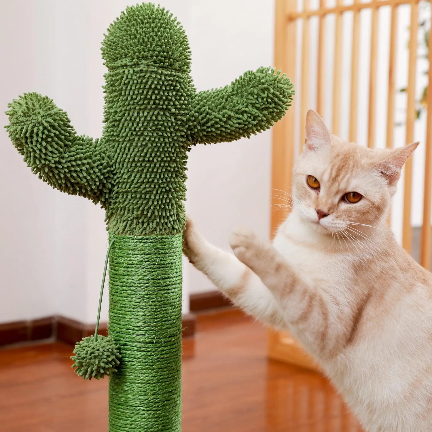 Cat Condo Scratching Post
