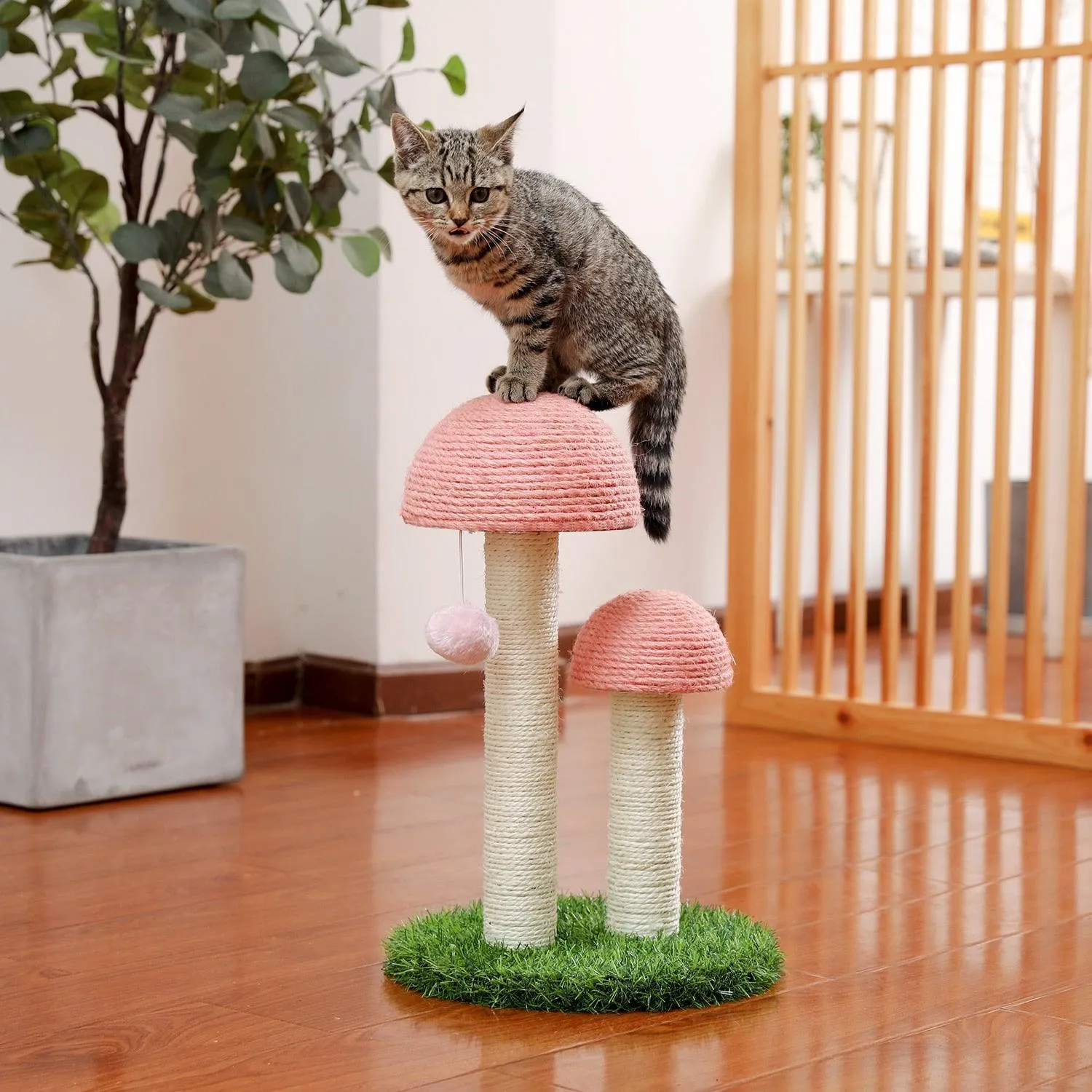 Cat Condo Scratching Post