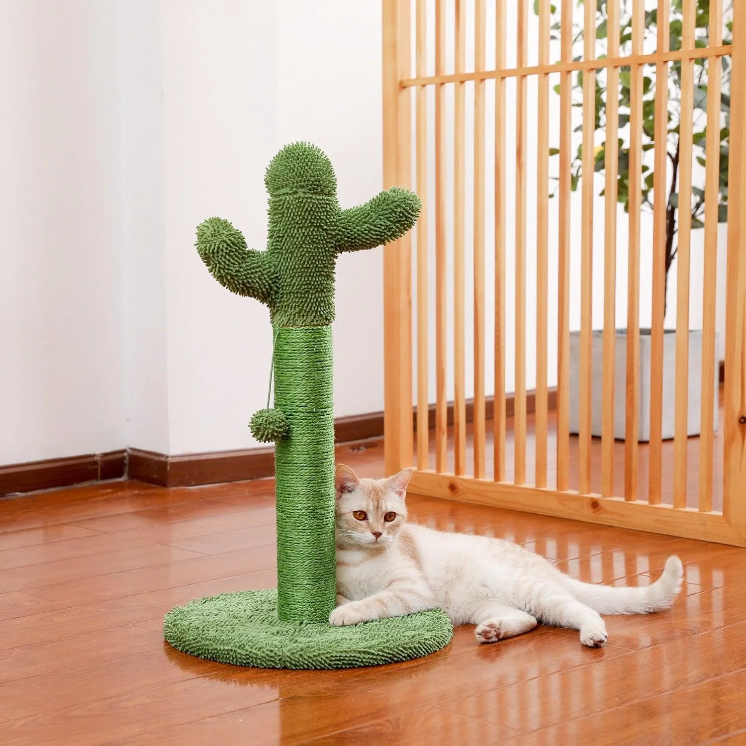 Cat Condo Scratching Post