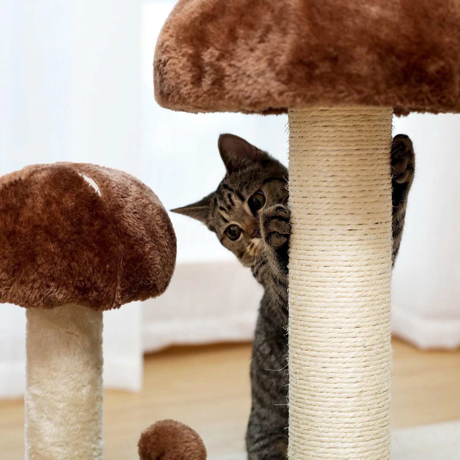 Cat Condo Scratching Post
