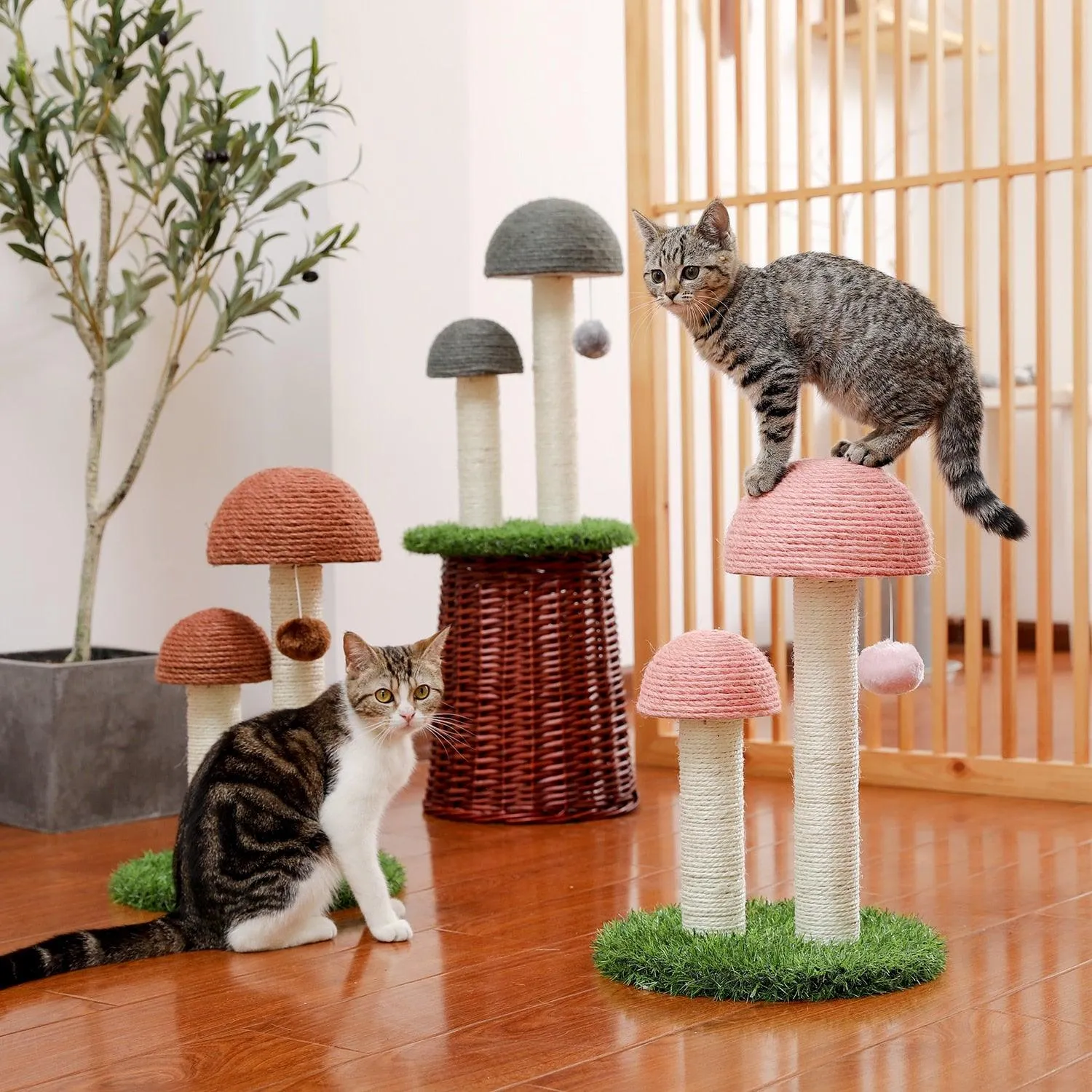 Cat Condo Scratching Post