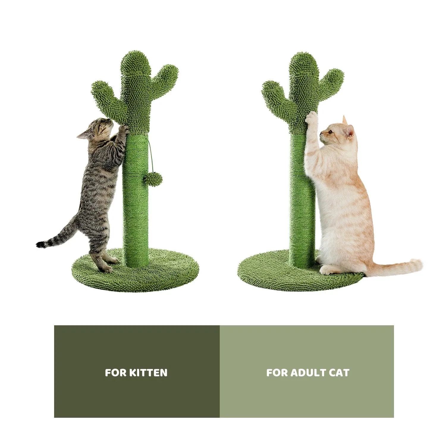 Cat Condo Scratching Post