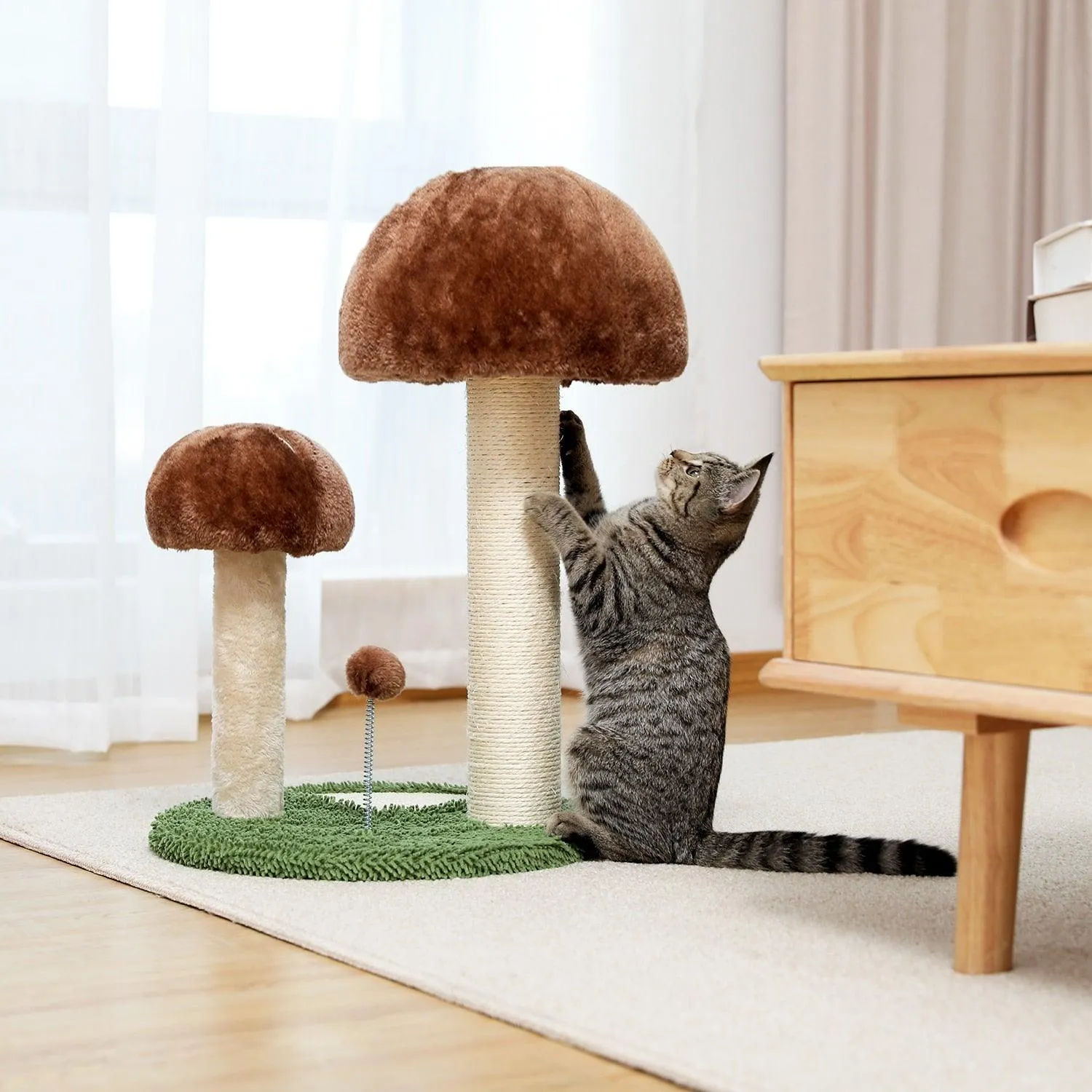 Cat Condo Scratching Post