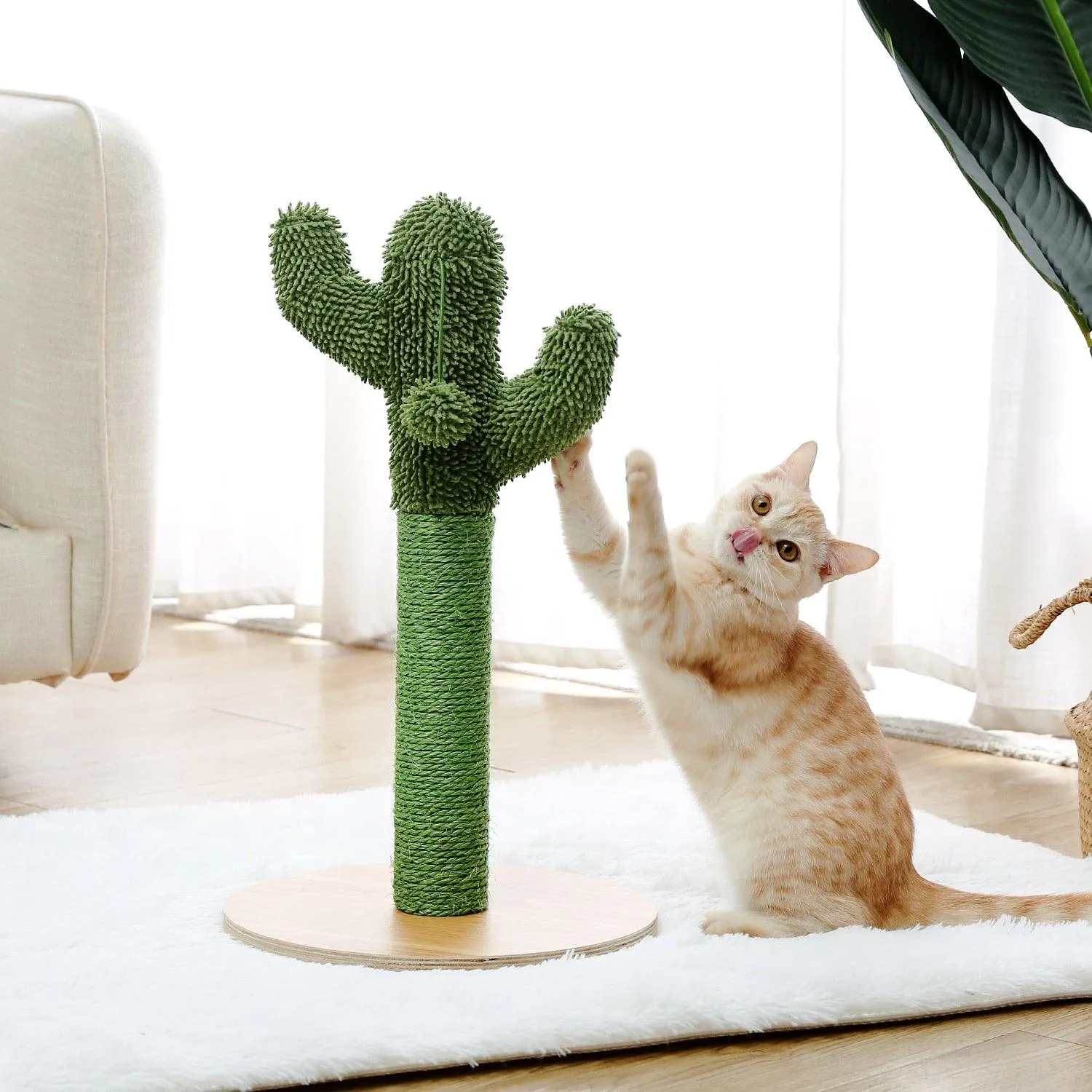 Cat Condo Scratching Post