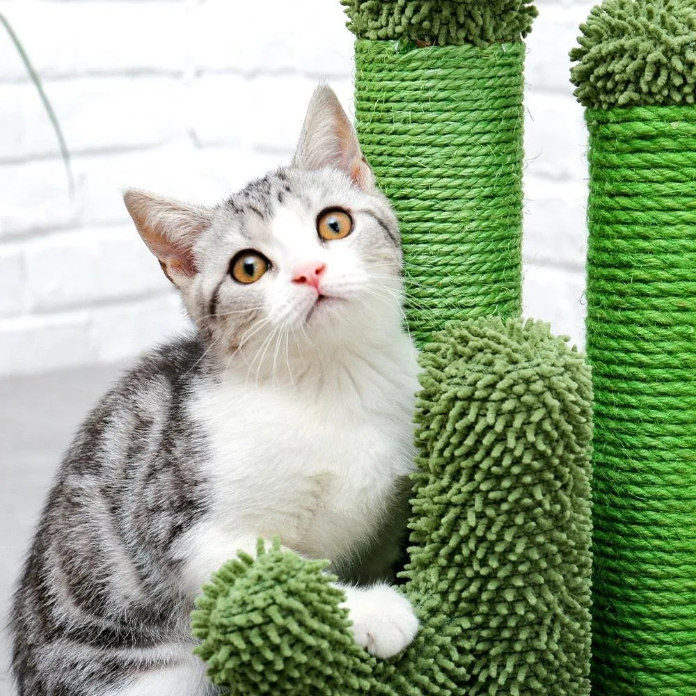 Cat Condo Scratching Post