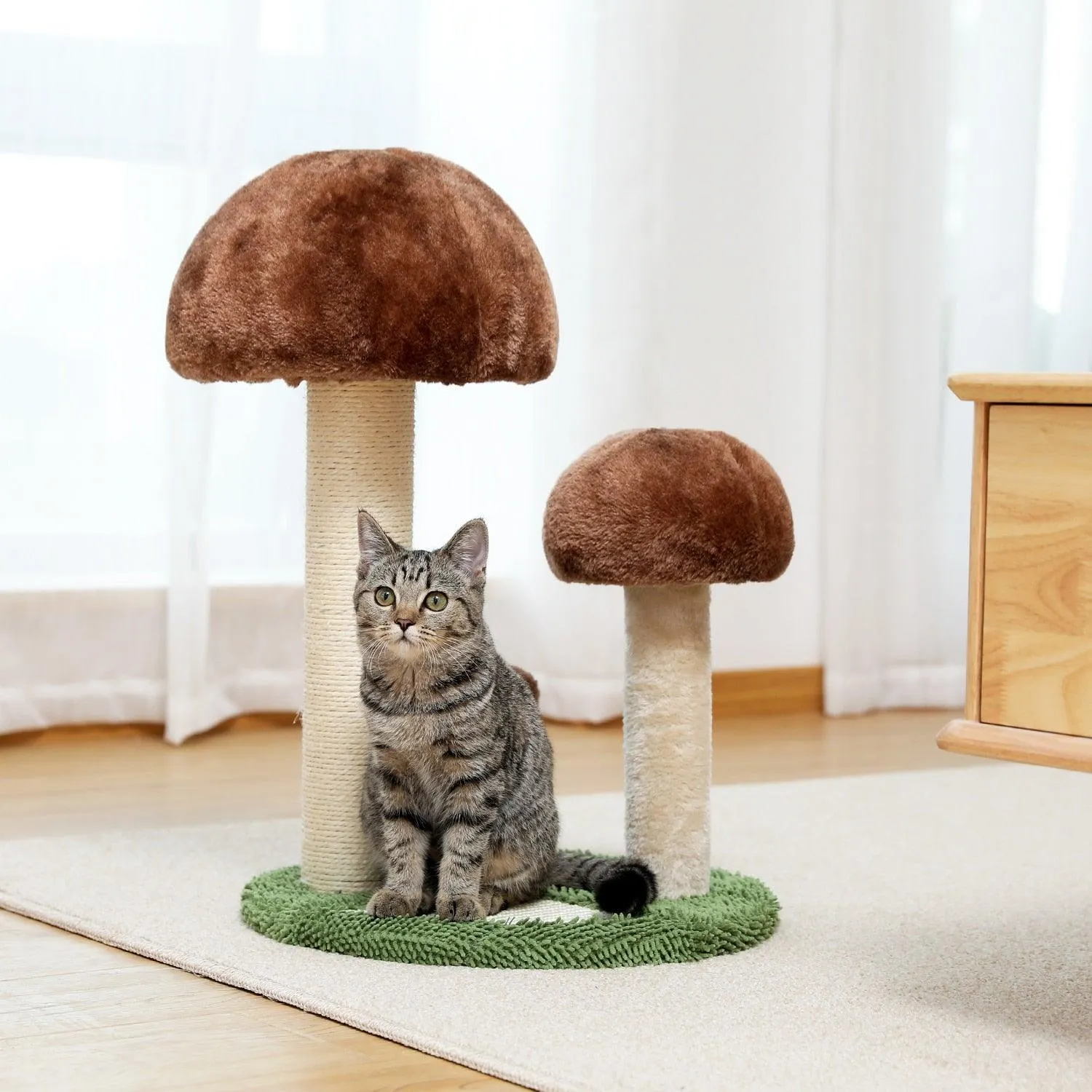 Cat Condo Scratching Post