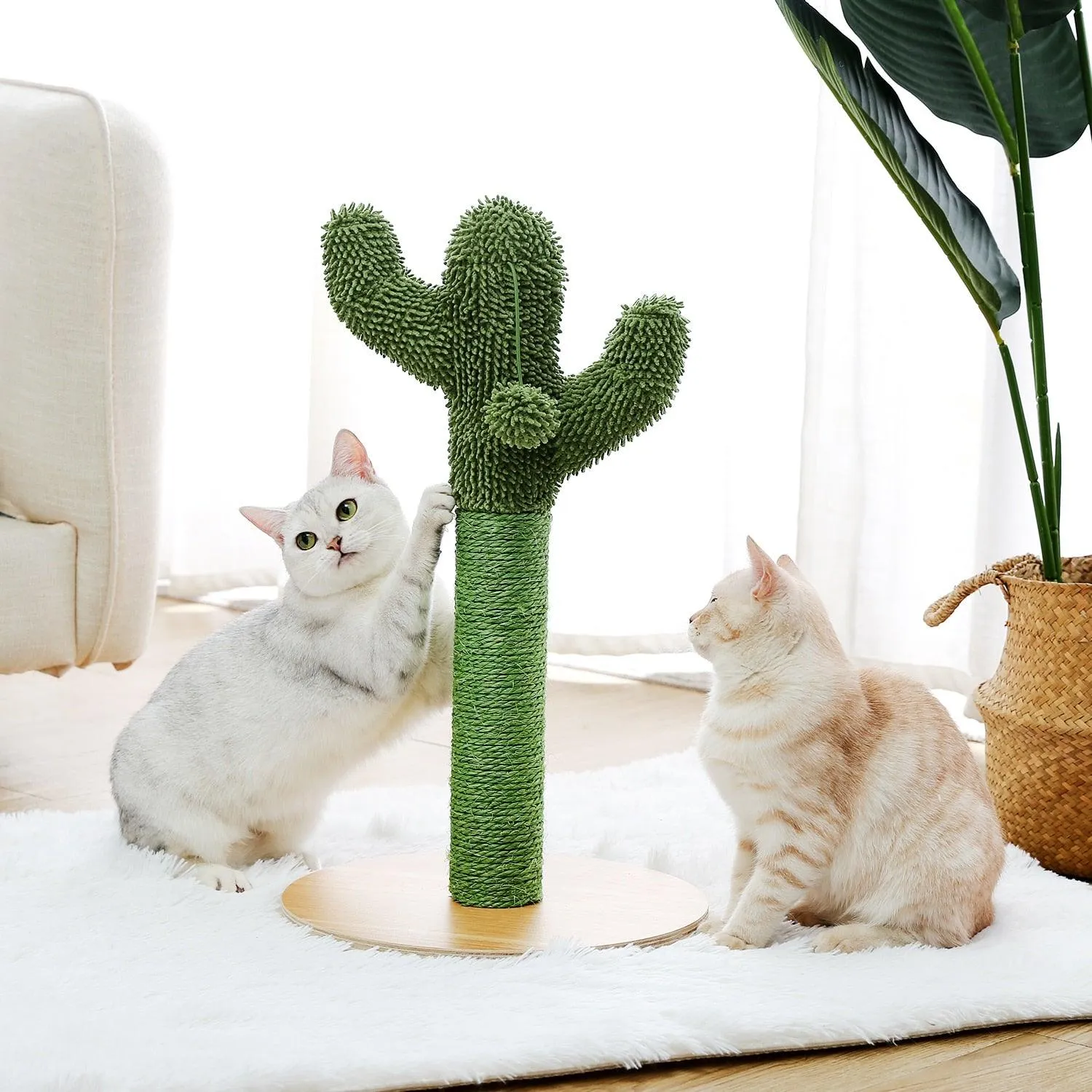 Cat Condo Scratching Post