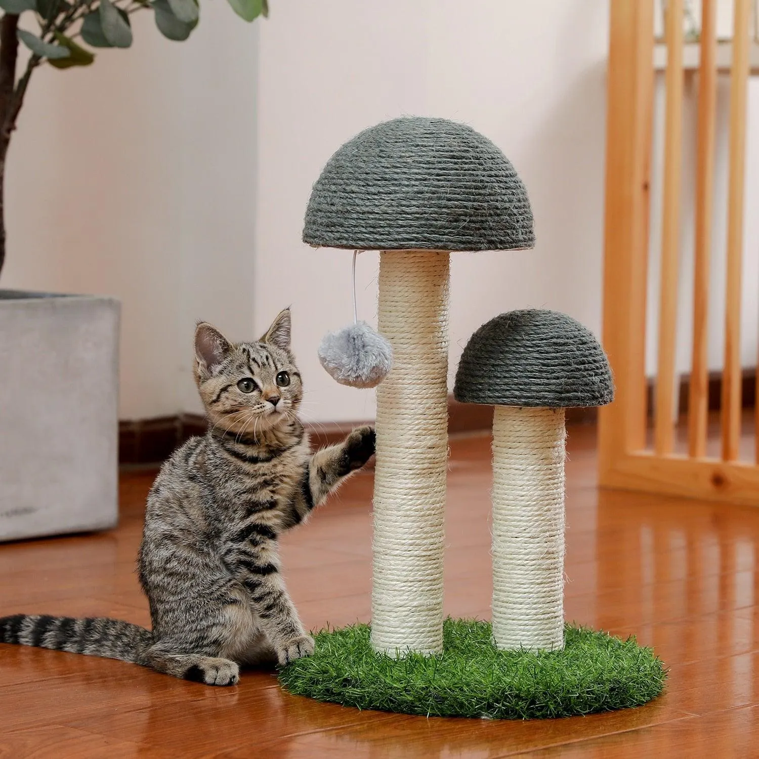 Cat Condo Scratching Post