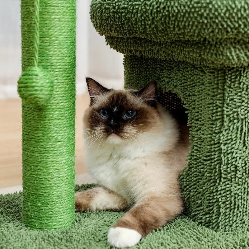 Cat Condo Scratching Post