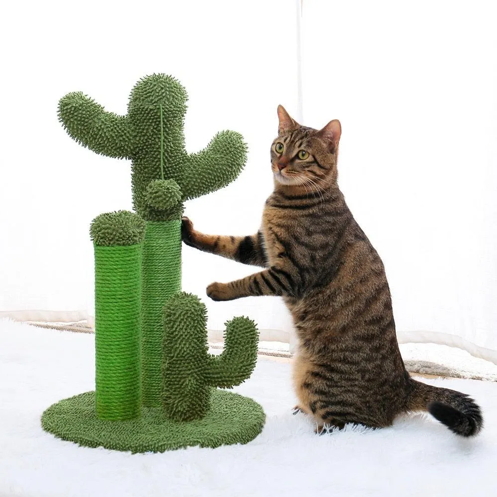 Cat Condo Scratching Post