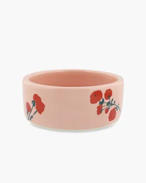 Dog Bowl