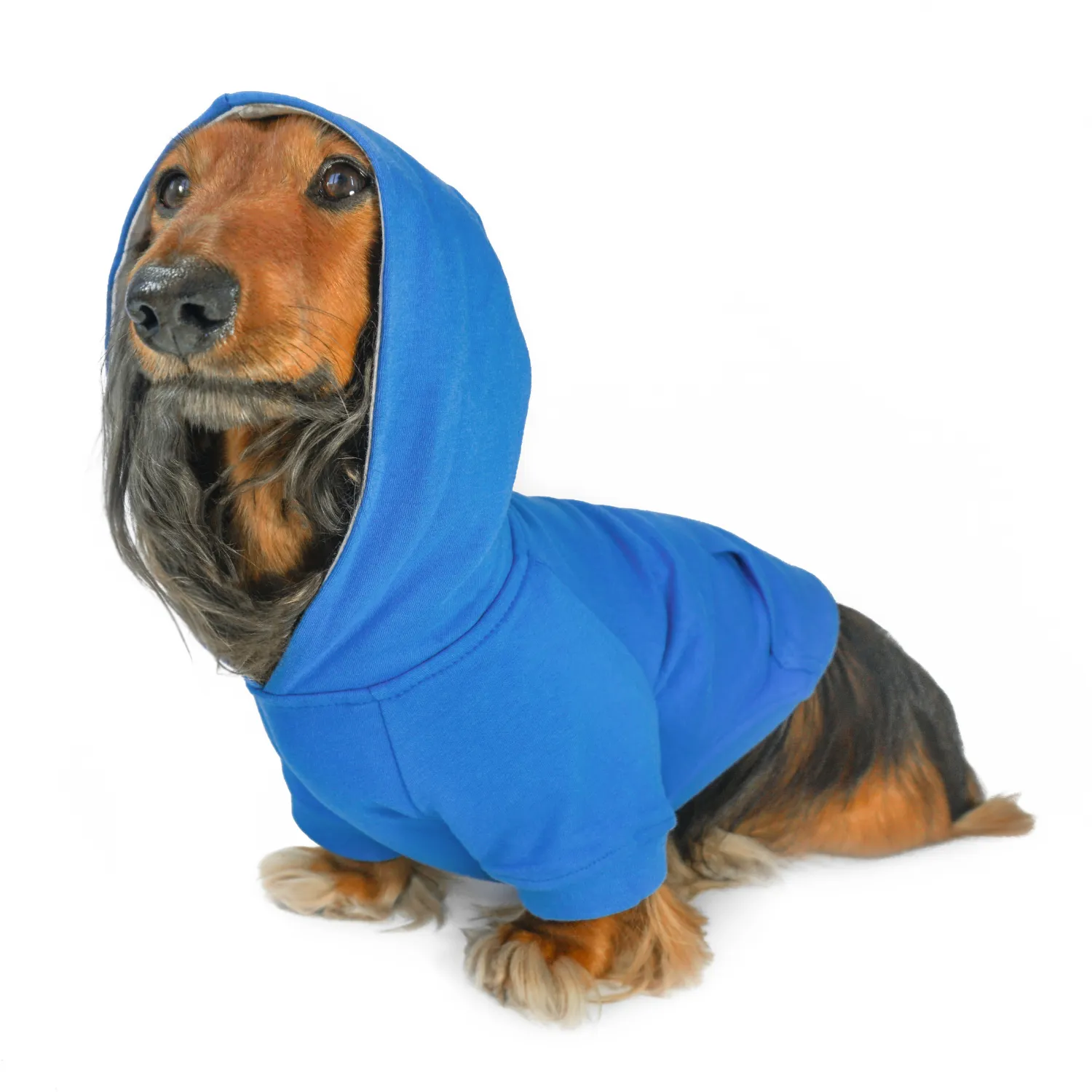 Dog Hoodie - Alpine Blue