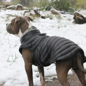 Dog Puffer Coat