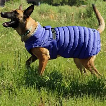 Dog Puffer Coat
