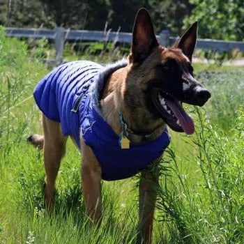 Dog Puffer Coat