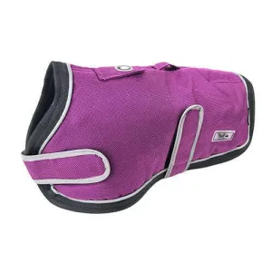 Huskimo Dog Coat Summit Altitude Aurora