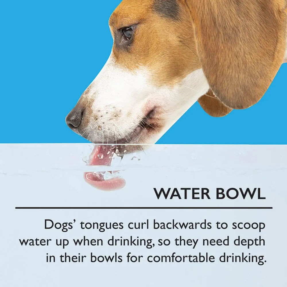 Icon 2 Piece Dog Slow Feeder & Water Bowl Set - 20cm - Cream