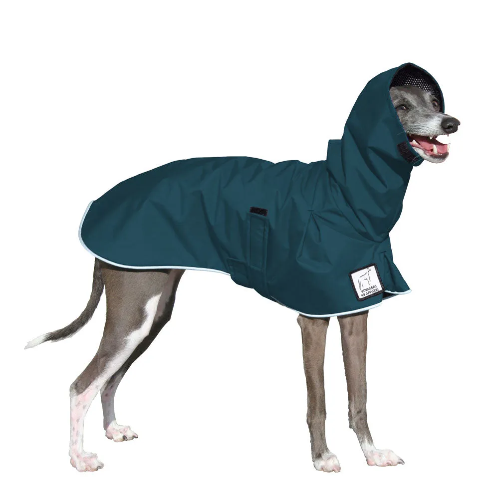 Italian Greyhound Raincoat
