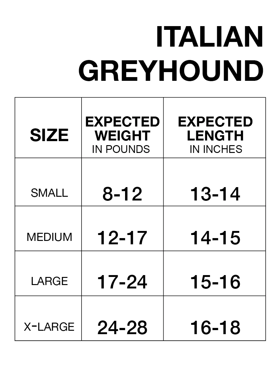 Italian Greyhound Raincoat