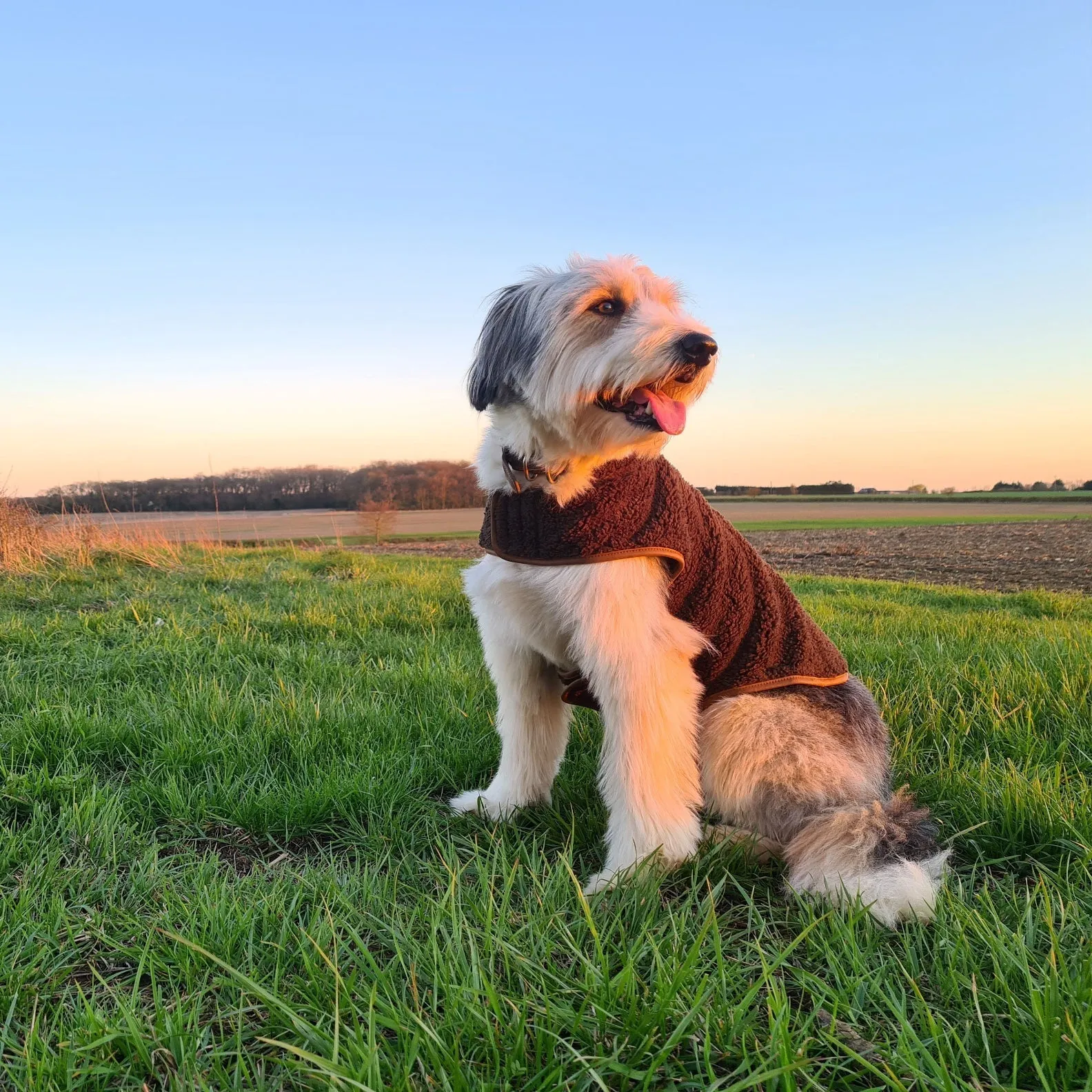 Jack Pyke Sherpa Fleece Dog Coat