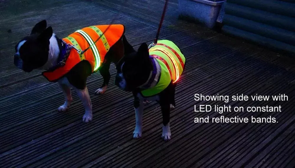 LED Dog Coat | Flashing High Viz Coat For Dogs