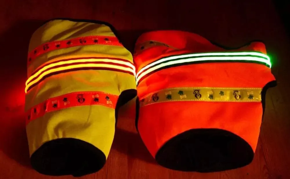 LED Dog Coat | Flashing High Viz Coat For Dogs