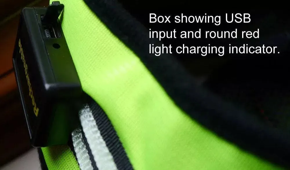 LED Dog Coat | Flashing High Viz Coat For Dogs