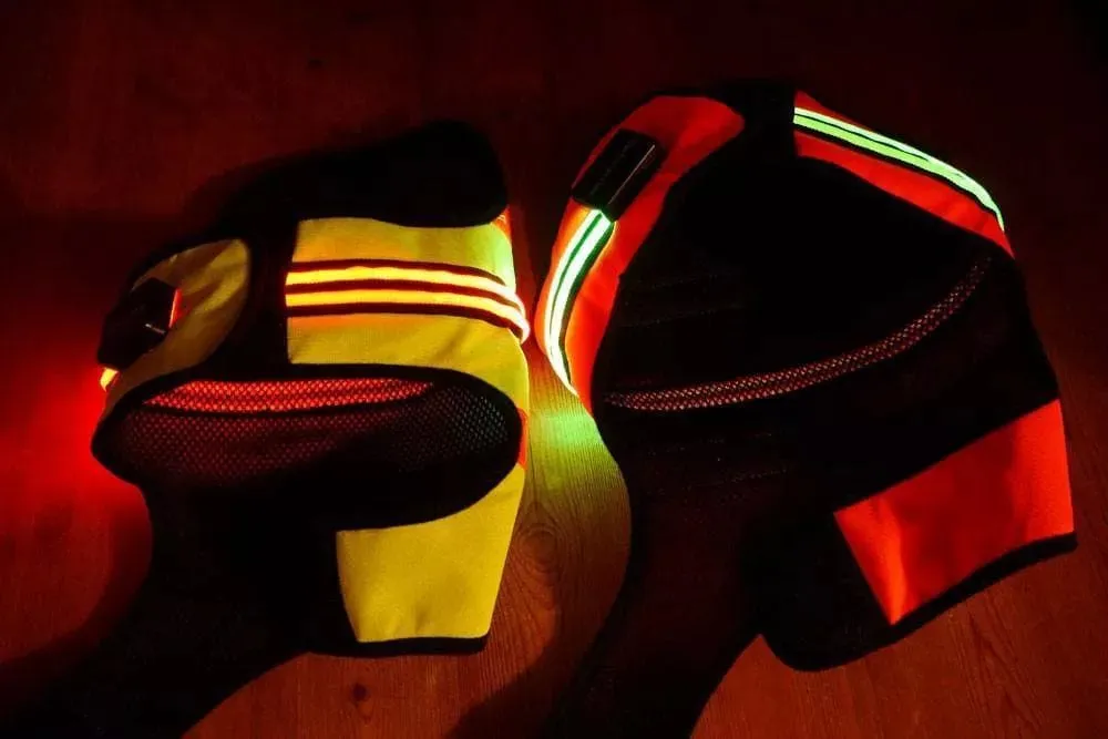 LED Dog Coat | Flashing High Viz Coat For Dogs