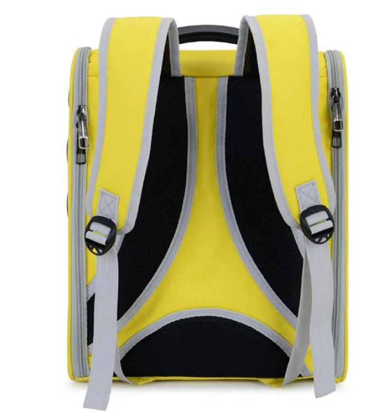 New transparent folding backpack for cats and dogs