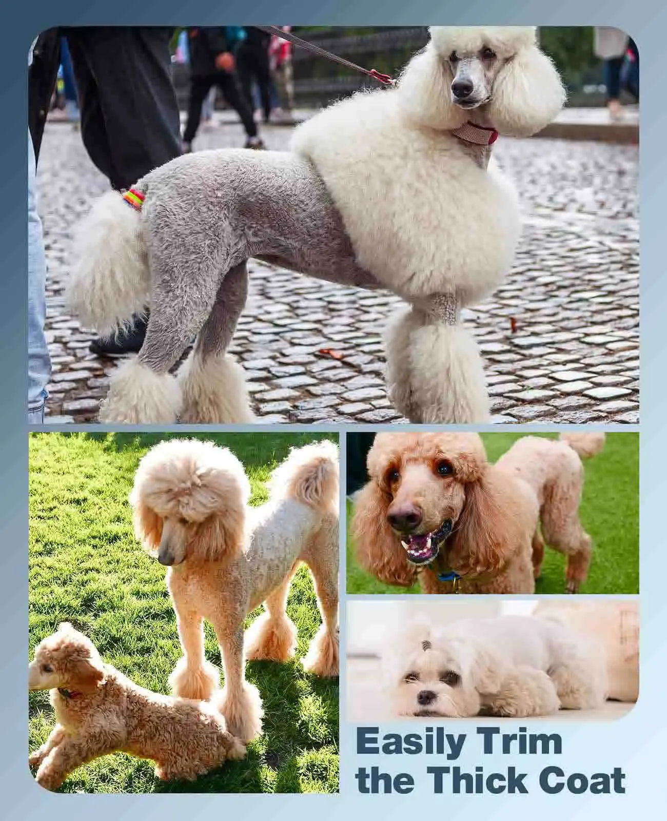 Oneisall 676 Dog Hair Clipper for Thick Coats