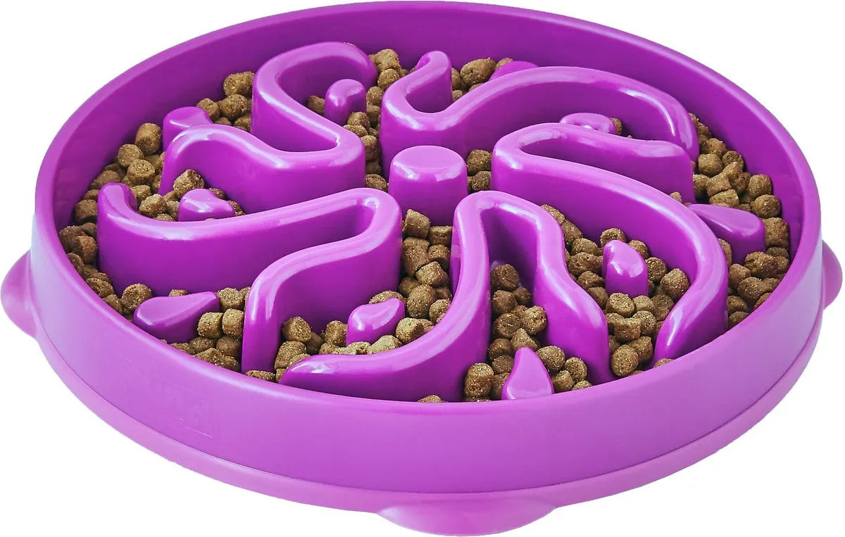 Outward Hound – Fun Feeder Slo Bowl – Regular