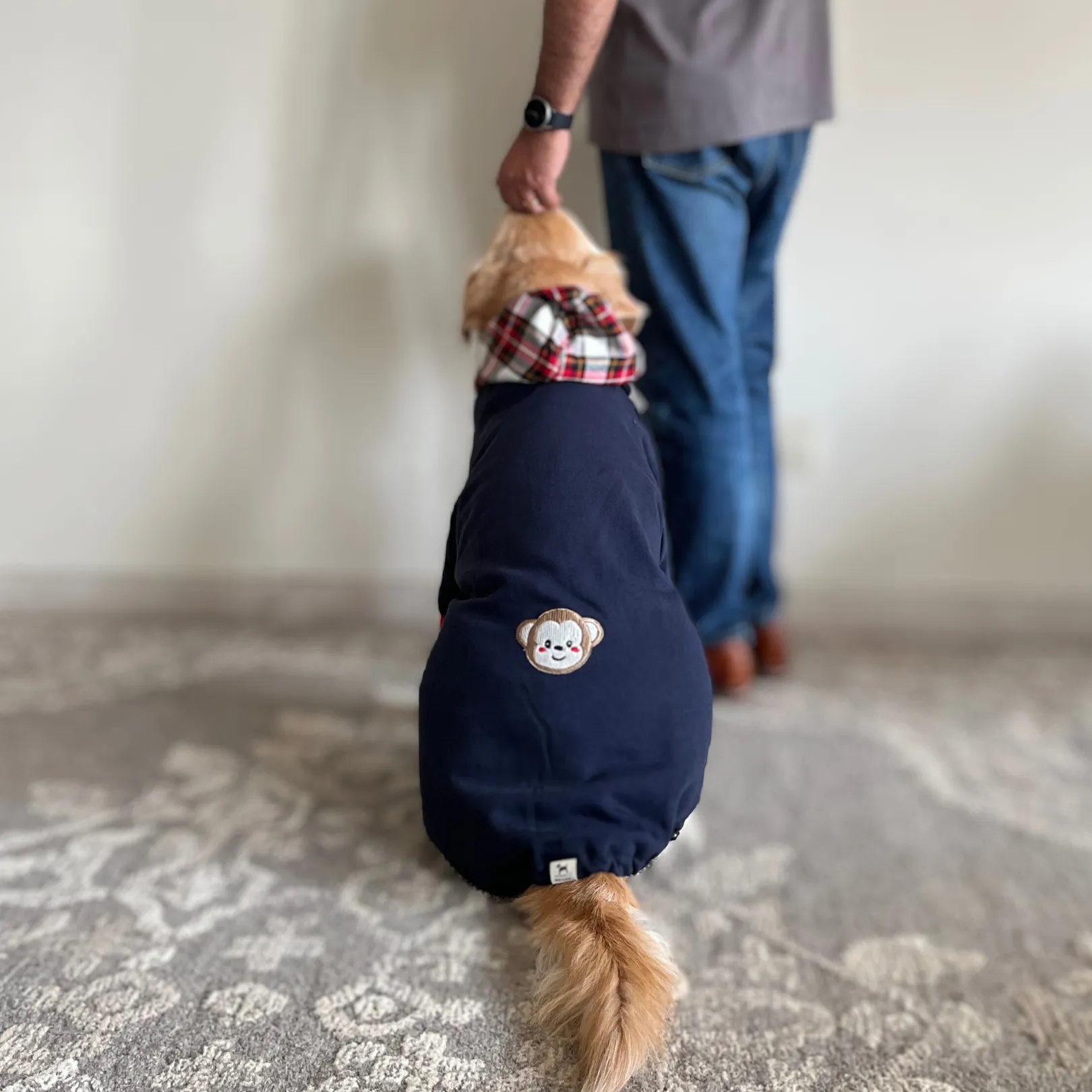 PoochMate Grayish Blue Monkey Dog Sweatshirt