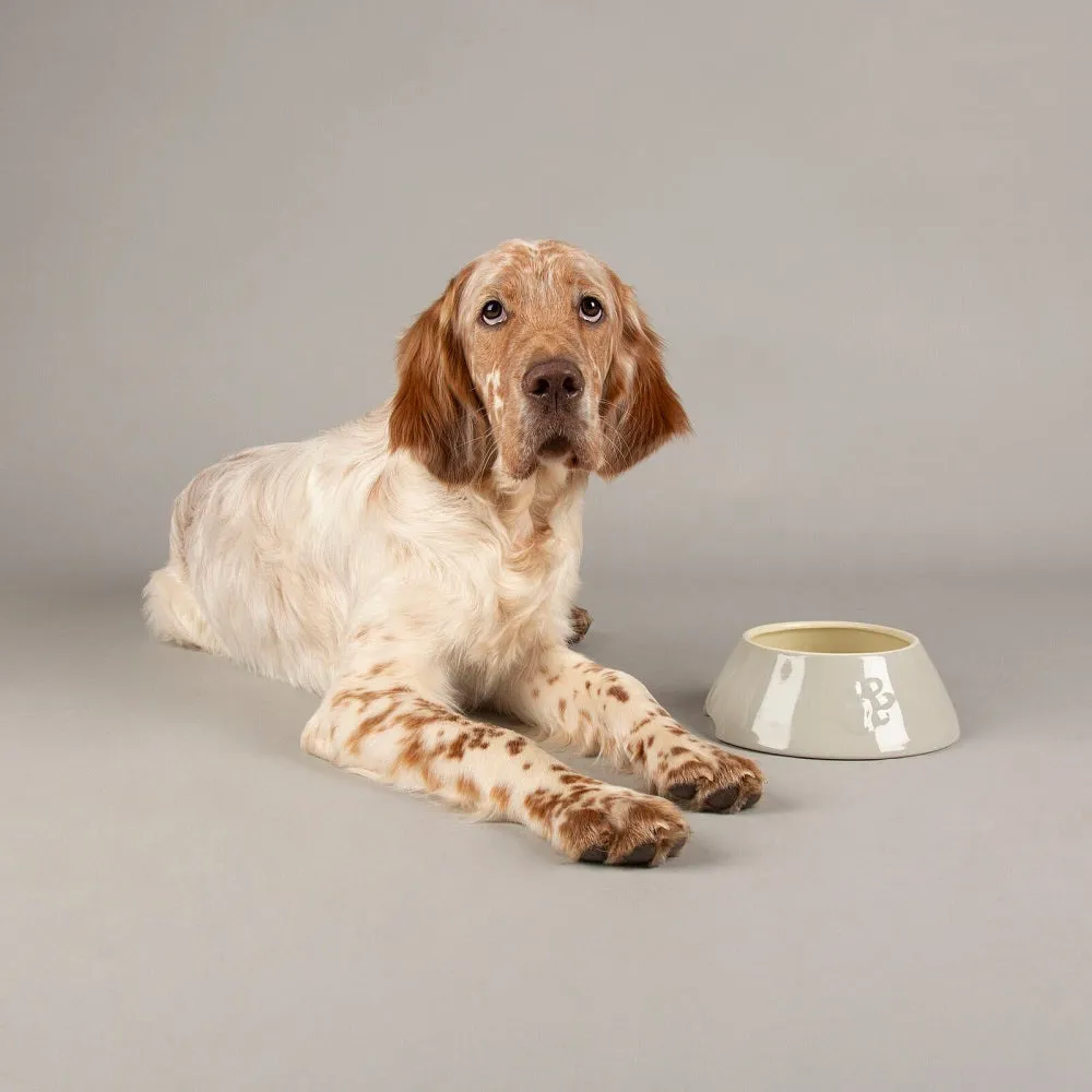Scruffs Long Eared Icon Dog Food Bowl