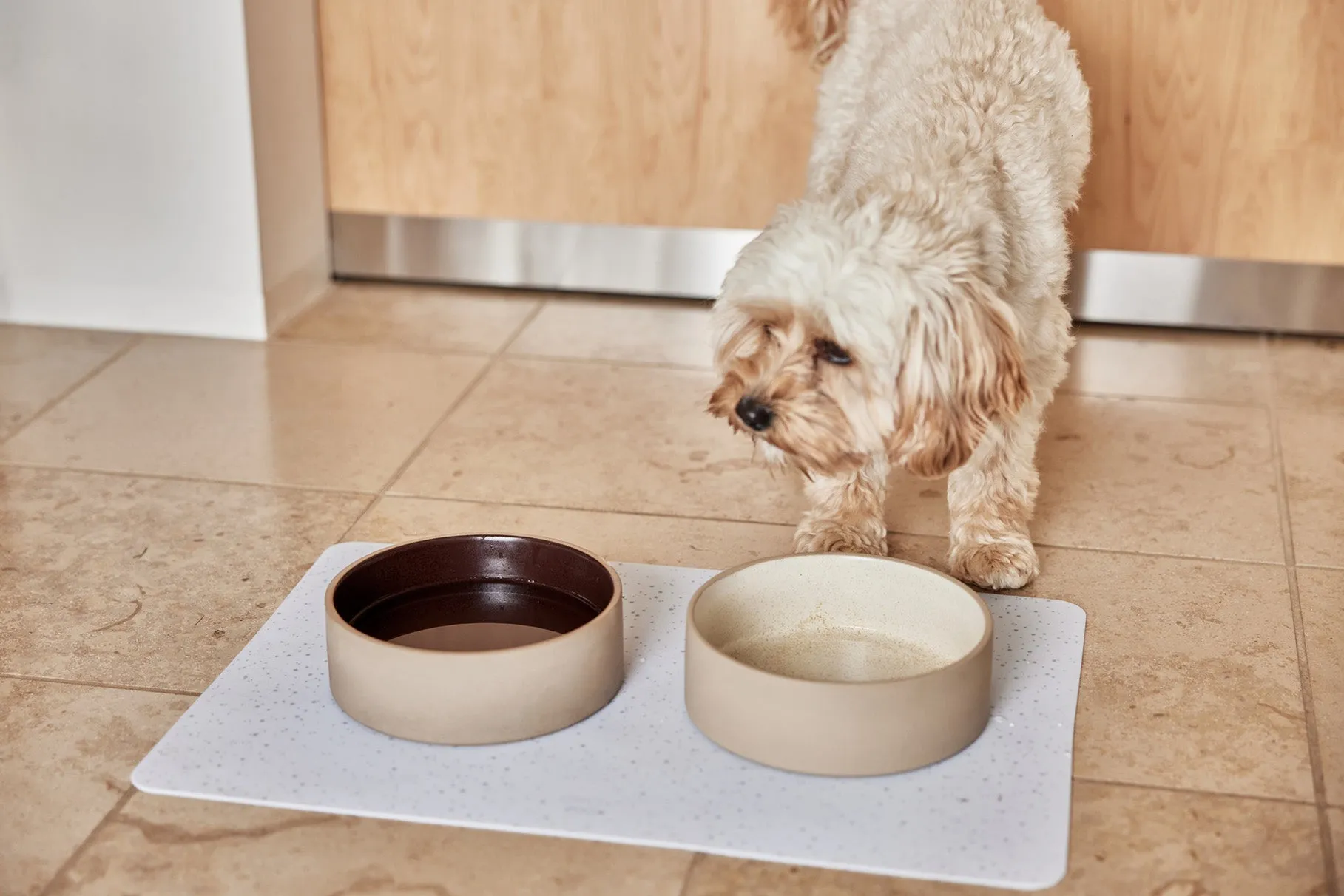 Sia Dog Bowl - Large
