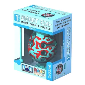 Smart Egg 3D Maze Brain Teaser STEM Puzzle - Zigzag