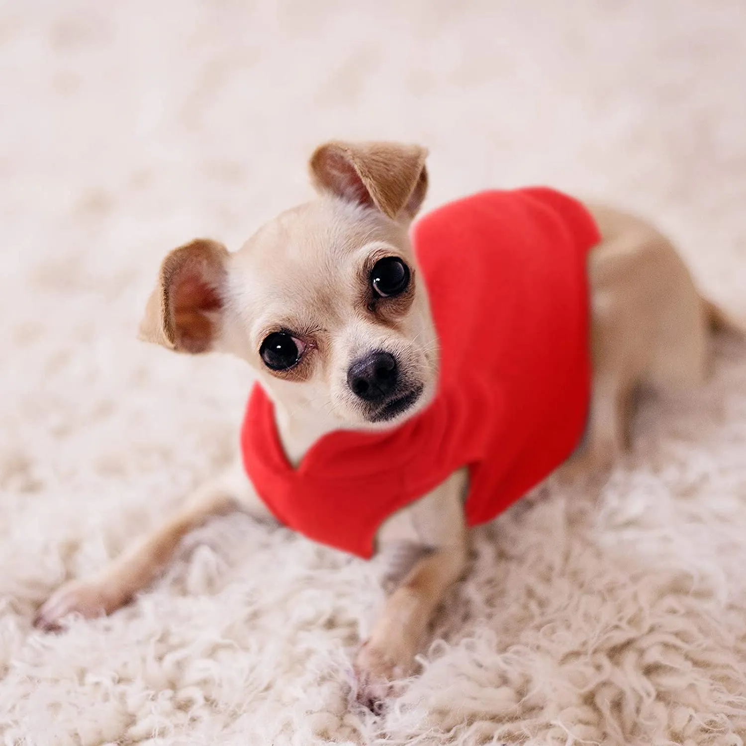 Soft Warm Dog Jacket