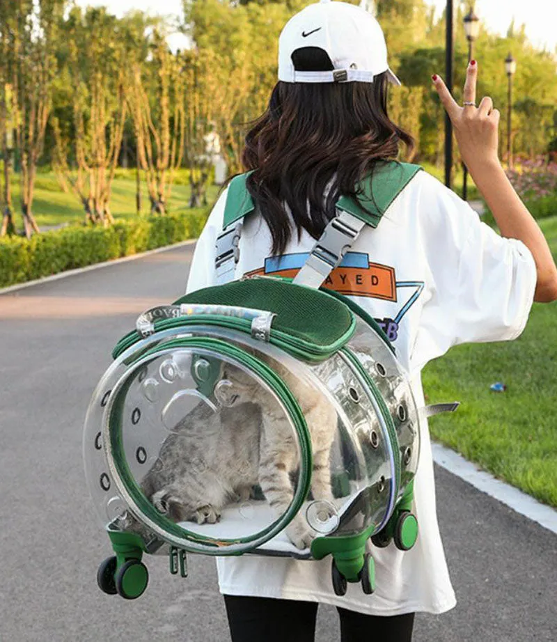 The new pet trolley case transparent go out portable pet backpack