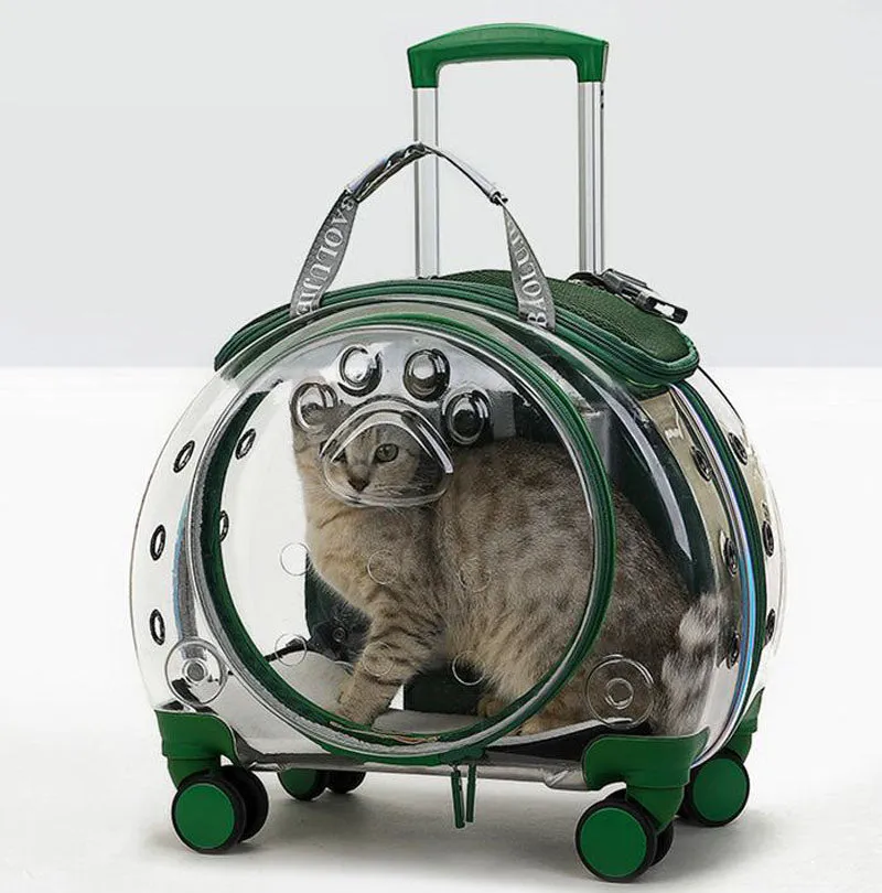The new pet trolley case transparent go out portable pet backpack