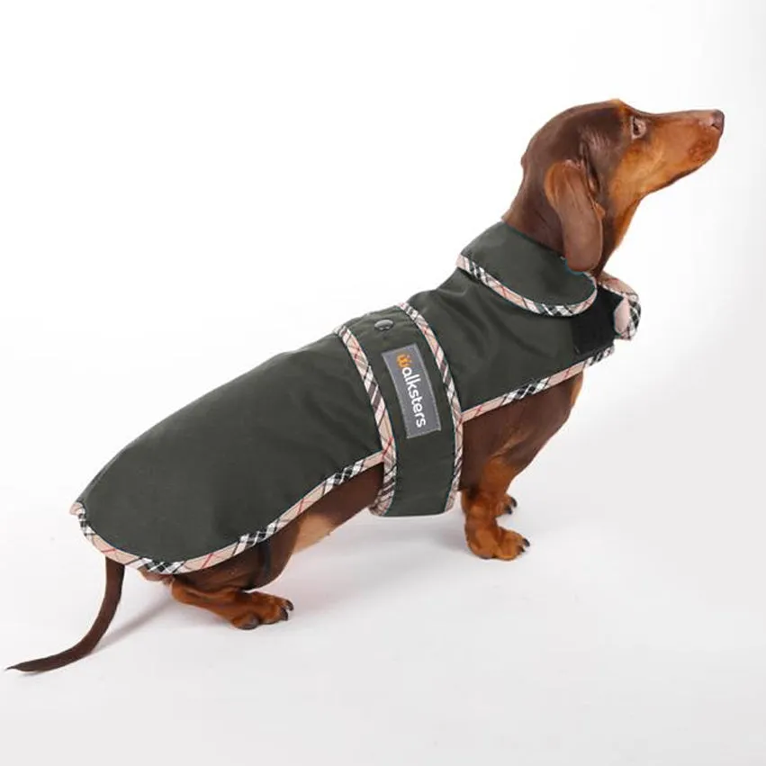 Walksters Dachshund Premium Wax Coat in Khaki