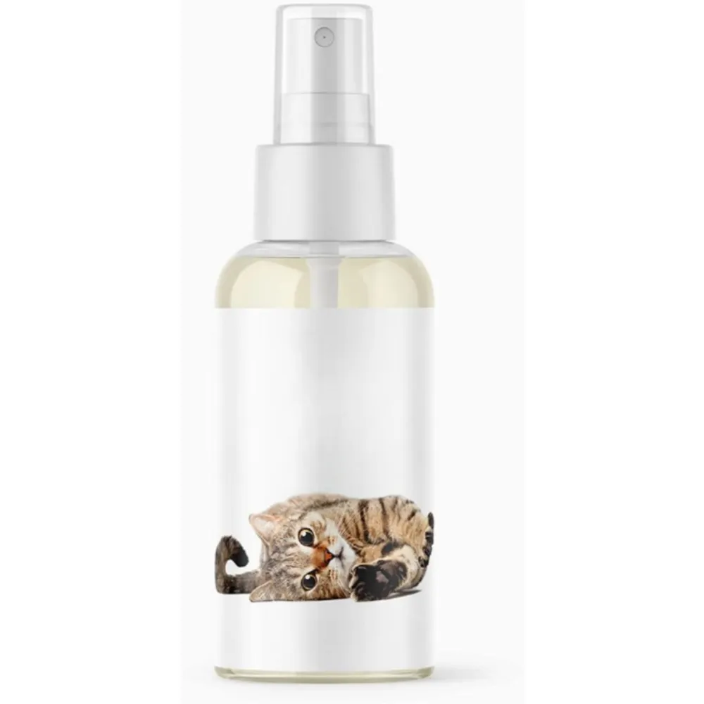 Wall Mount Scratch Pad And Spray For Cat