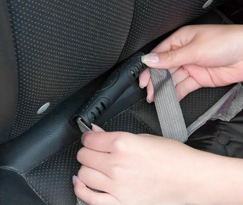 Waterproof pet car mat